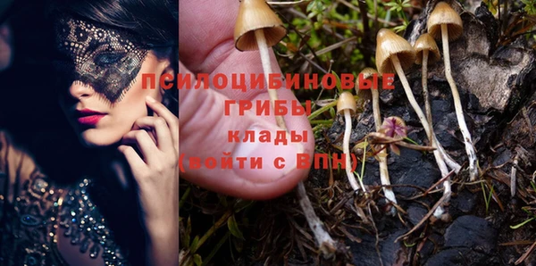 дмт Пестово