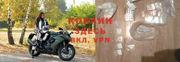 дмт Пестово