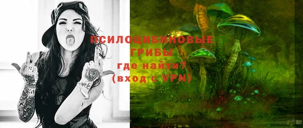 спиды Переславль-Залесский